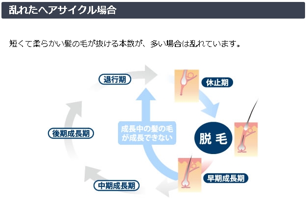 乱れたヘアサイクル